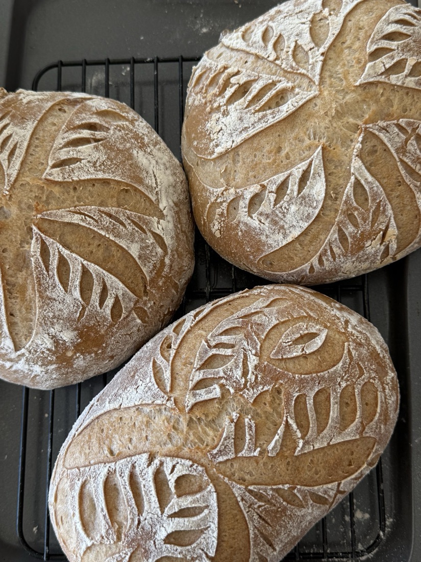 Kilka upieczonych bochenków chleba bezglutenowego
